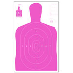 B27 Economy Target - Pink